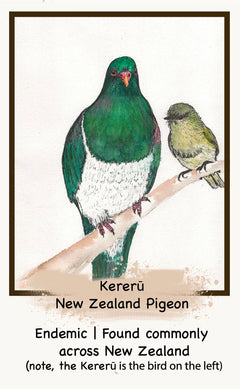 Getting Lost Card Game - The NZ Bird Edition