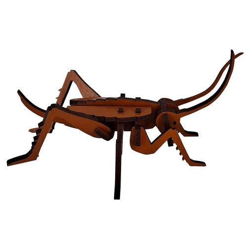 A6 Flatpack - Wētā