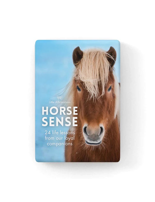 Horse Sense 24 Life Lessons & Stand