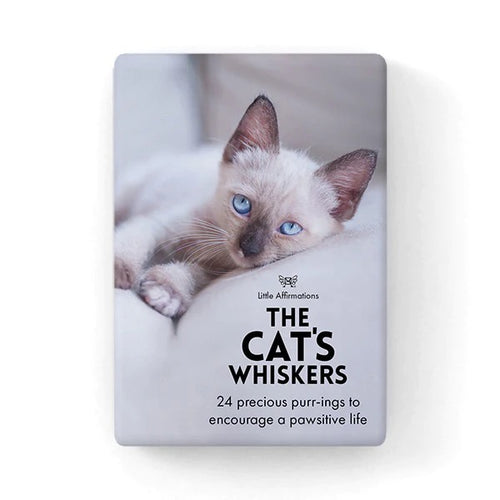Cat's Whiskers - 24 Quotation Cards & Stand