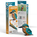 3D Cardboard Kit Set - Kingfisher
