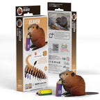 3D Cardboard Kitset - Beaver