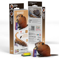 3D Cardboard Kitset - Beaver