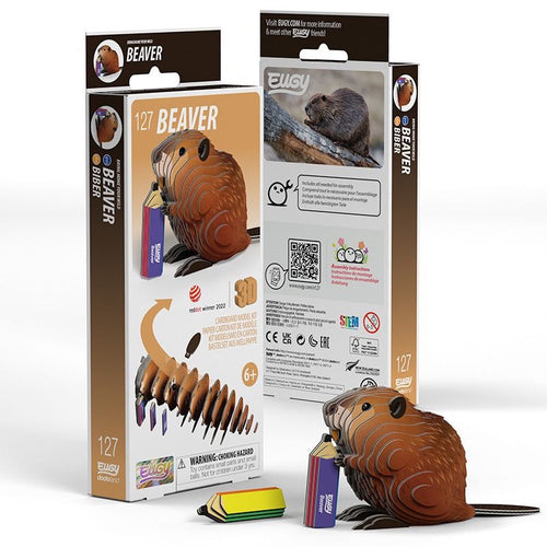 3D Cardboard Kitset - Beaver