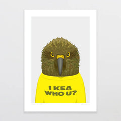 A4 Art Print - Animals In T-shirts Kea