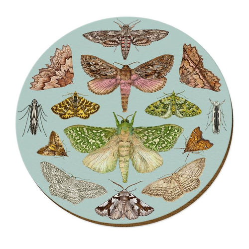 Cork Placemat -NZ Moths