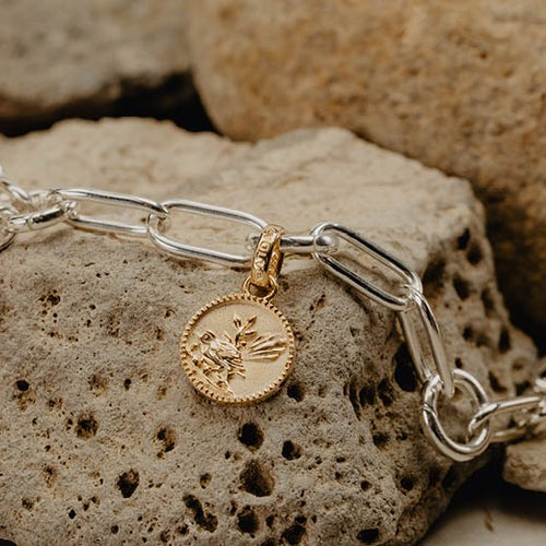 Fantail Coin Pendant Charm (Friendly) - Gold