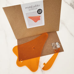 Jet Plane  - Kiwiana Wall Art