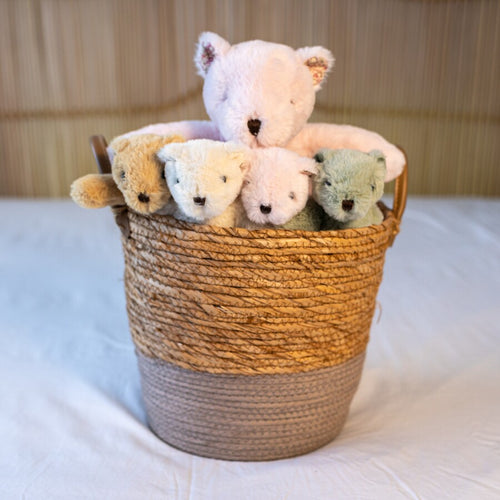 Littlefoot Bear - Jade