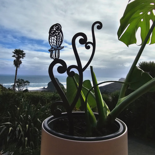 Morepork Koru in a gift box - Sams