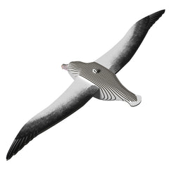 3D Cardboard Kit Set - Royal Albatross