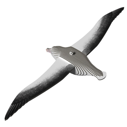 3D Cardboard Kit Set - Royal Albatross