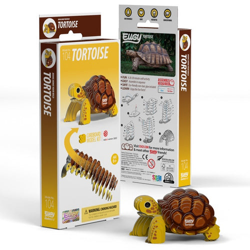 3D Cardboard Kit Set - Tortoise