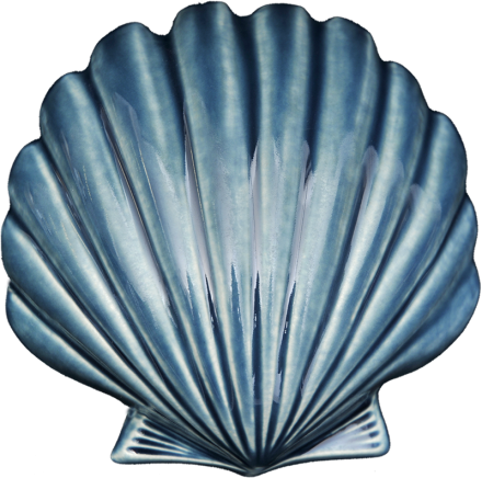 Blue Scallop Shell