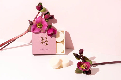 Wild Plum Soy Melts (4)