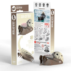 Title 3D Cardboard Kit Set - Sea Otter