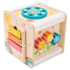 Petit Activity Cube