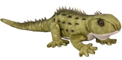 Sound Toy -  Tuatara