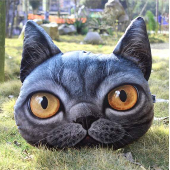 Cute cat sale cushion