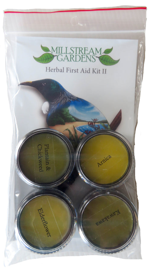 Herbal First Aid Kit II