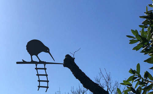 Metal Bird - Kiwi