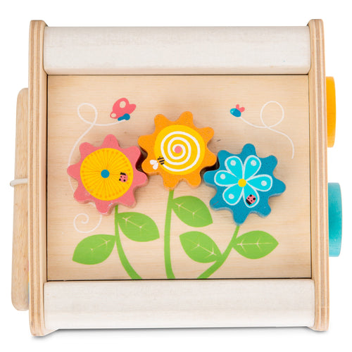 Petit Activity Cube