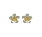 Sterling Silver Earrings - Manuka Flower with Gold Plate
