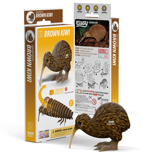 3D Cardboard Kit Set - Brown Kiwi