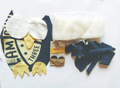 DIY Upcycle Cat Toy Sewing Kit