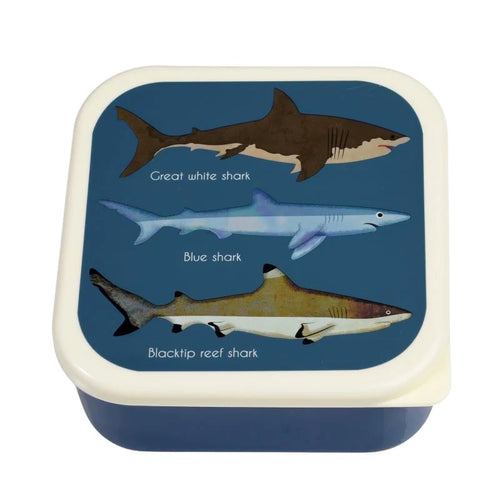 Sharks Snack Boxes Set Of 3