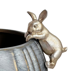 Rabbit - Hanging Rim
