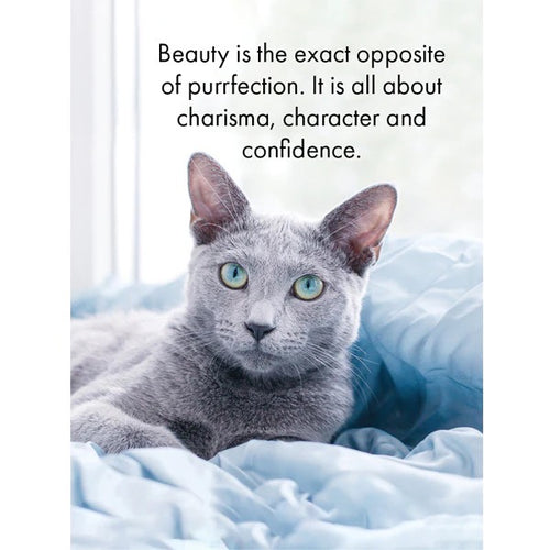 Cat's Whiskers - 24 Quotation Cards & Stand