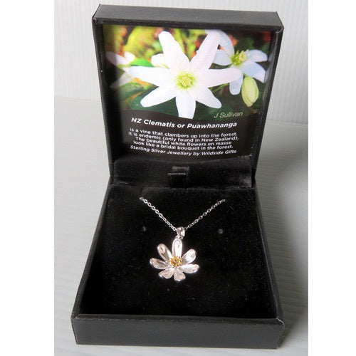 Sterling Silver Pendant - Clematis