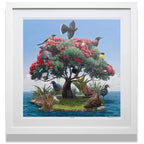 Framed Print - The Garden