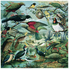 Native Bird Coaster/Placemat - Square