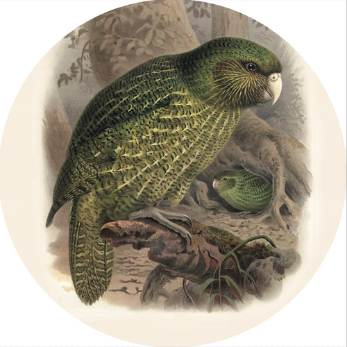 Native Bird Coaster/Placemat - Kakapo (Walter Buller)