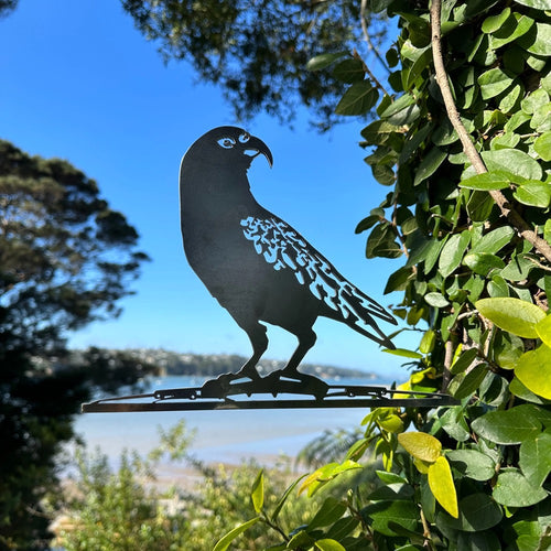 Metal Bird - Couldn't Kea Less