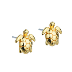 172734692aLittle Taonga Turtles Studs Gold