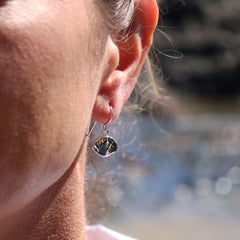 Sterling Silver Earring - Shell Paua