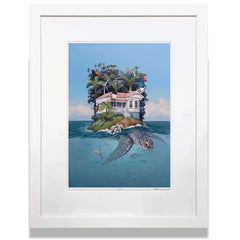 Framed Print - Sea Shelll