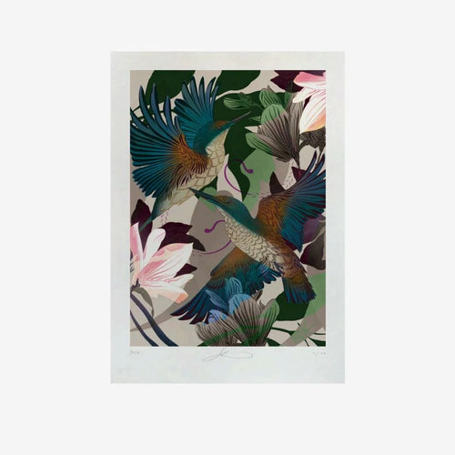 Flox Print - Evolution Kingfishers A3