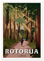 A4 Viva Print Rotorua Redwoods Forest