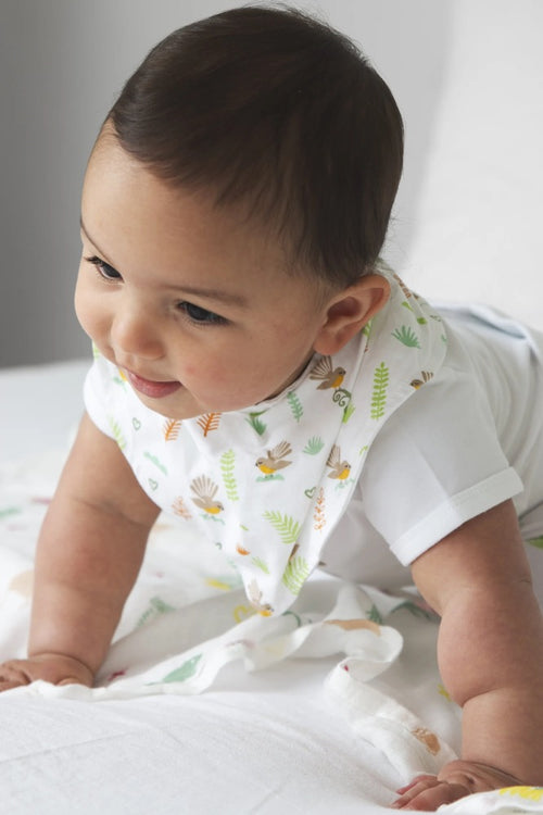 Fantail Dribble Baby Bib
