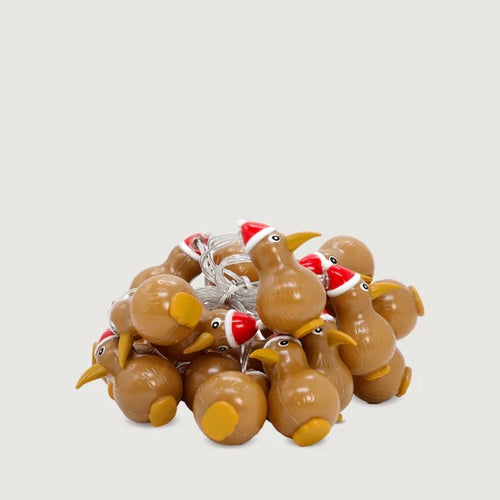 Kiwi Santa Lights - USB Powered