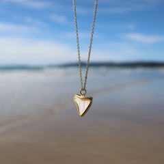 Little Taonga - Sharks Tooth Jewellery
