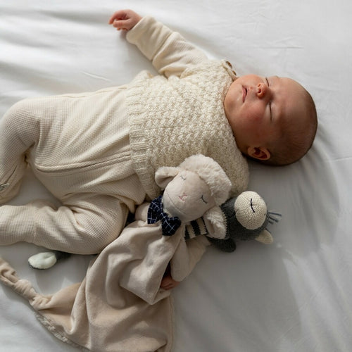Liam  the Lamb Comforter