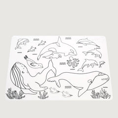 Silicone Colour-in Placemats