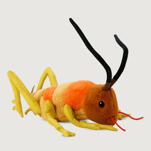 Wiremu the Weta - Soft Toy