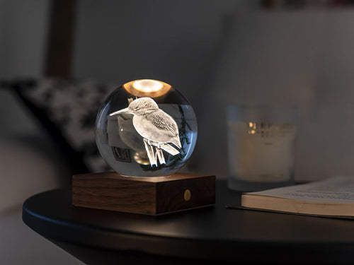 3D Laser Engraved LED Light - Kingfisher