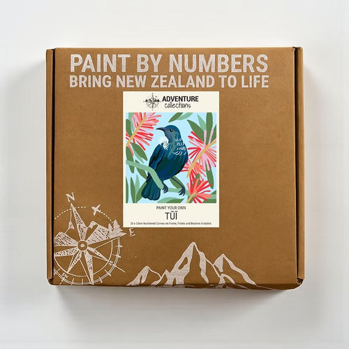 20x20cm Paint By Numbers